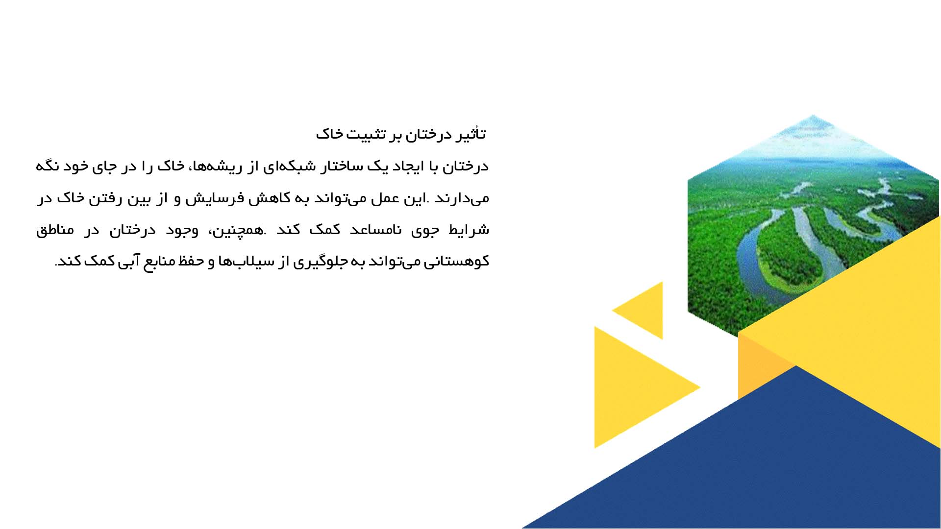 پاورپوینت در مورد نقش جنگل‌ها در جلوگیری از فرسایش خاک